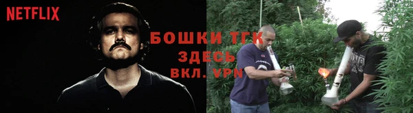 шишки Кукмор