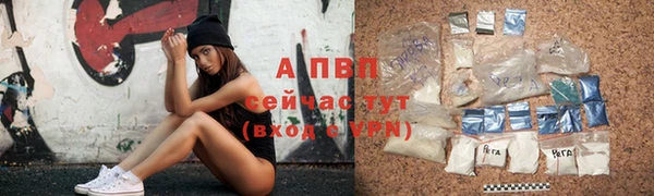стафф Куйбышев