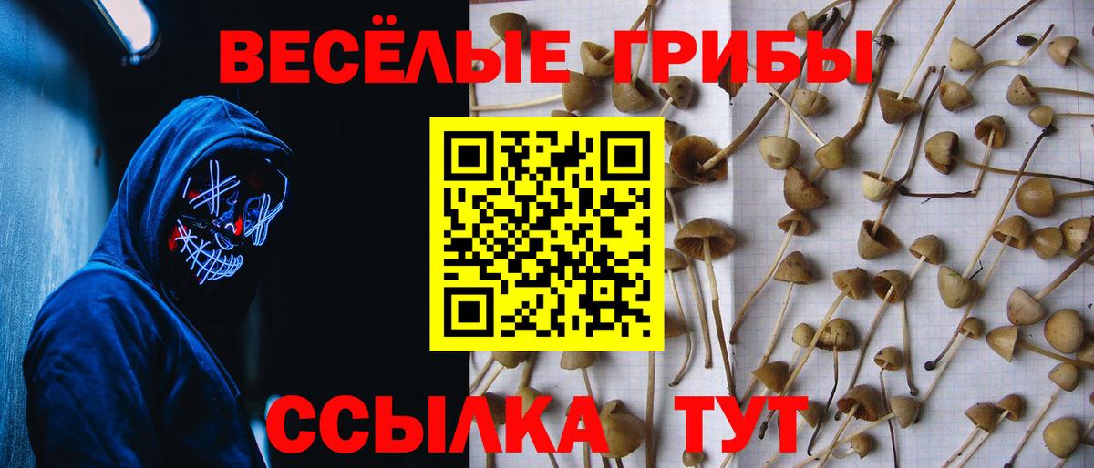 Галлюциногенные грибы MAGIC MUSHROOMS Бузулук