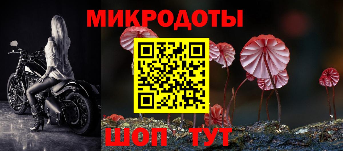 Псилоцибиновые грибы прущие грибы Бузулук