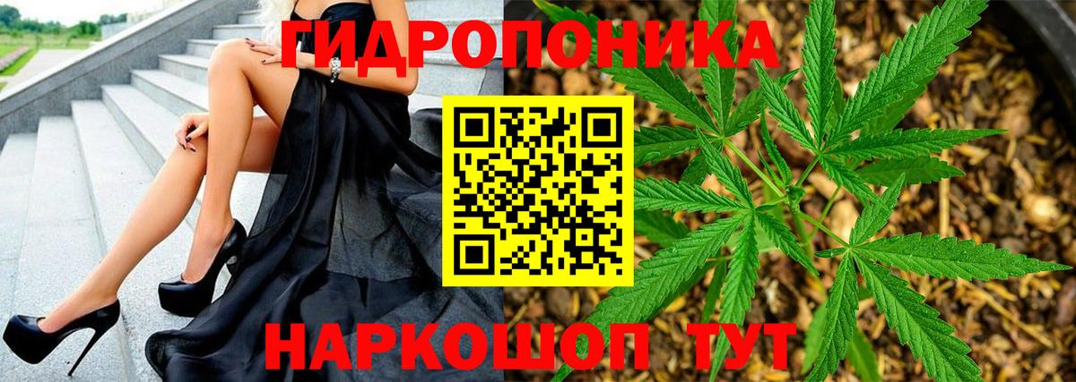 Бузулук  Канабис сатива  Вход с VPN  Каннабис индика 